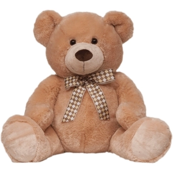 BUBA URSO JAMES G (+ 9M)